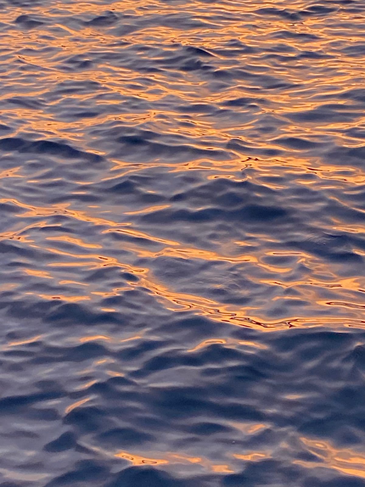 Ocean surface catching warm evening light